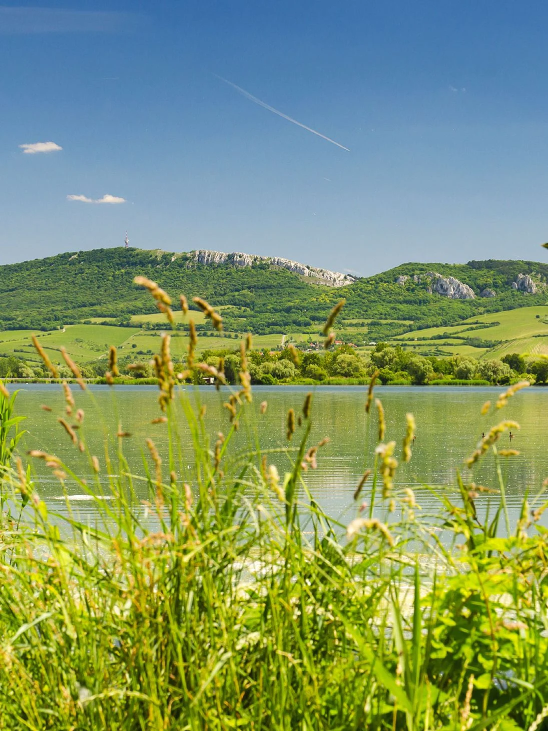 Pálavské kopce a krajina v okolí Perné